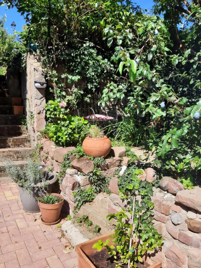 Studio Tout Confort 2 Personnes Au Coeur De L'Alsace Wolxheim Eksteriør bilde