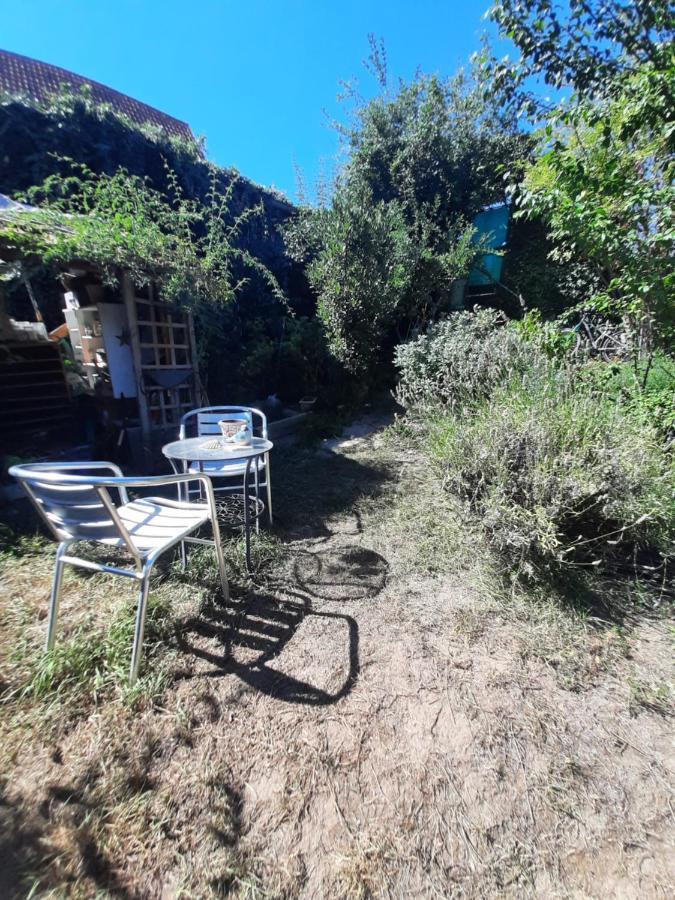 Studio Tout Confort 2 Personnes Au Coeur De L'Alsace Wolxheim Eksteriør bilde