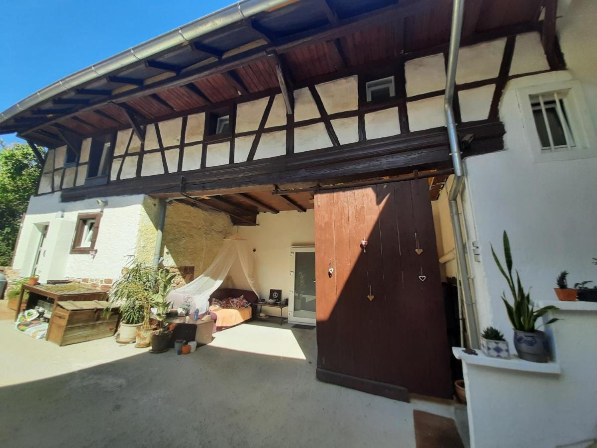 Studio Tout Confort 2 Personnes Au Coeur De L'Alsace Wolxheim Eksteriør bilde