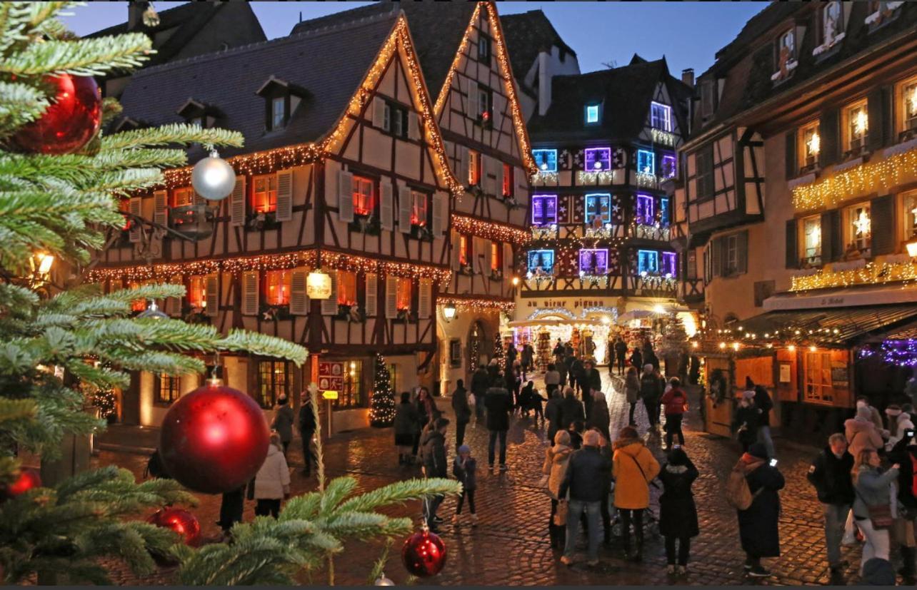 Studio Tout Confort 2 Personnes Au Coeur De L'Alsace Wolxheim Eksteriør bilde