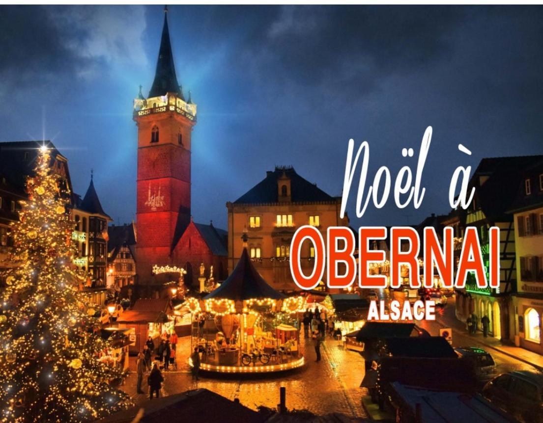 Studio Tout Confort 2 Personnes Au Coeur De L'Alsace Wolxheim Eksteriør bilde