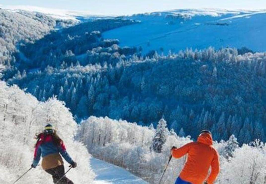 Studio Tout Confort 2 Personnes Au Coeur De L'Alsace Wolxheim Eksteriør bilde