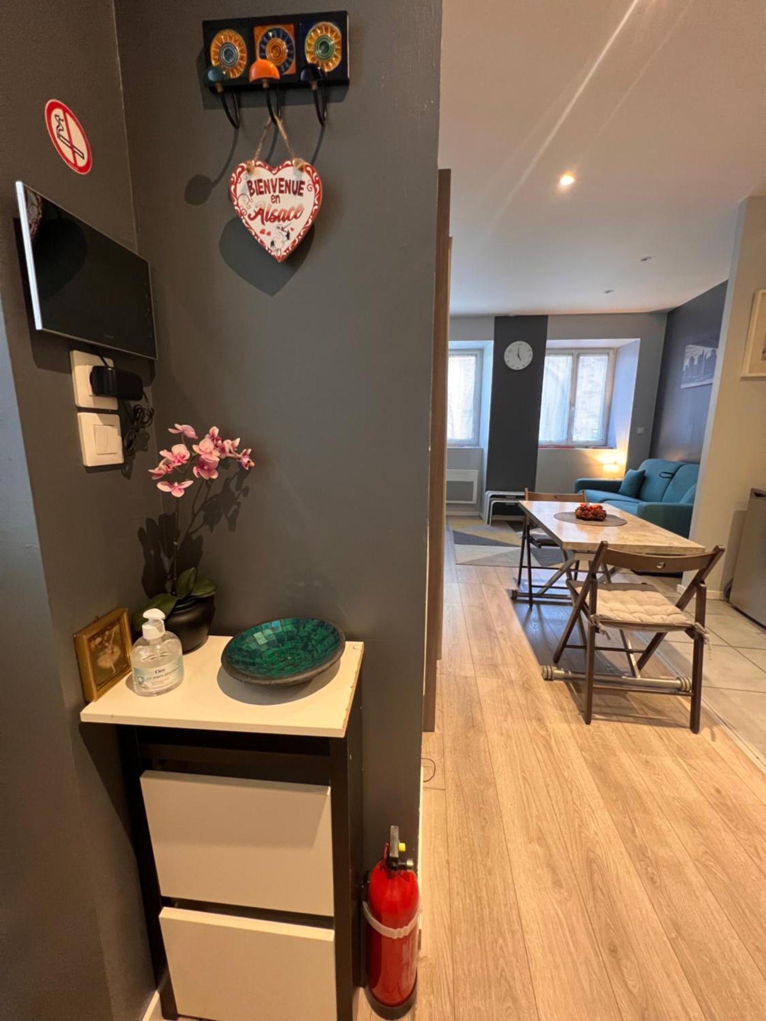 Studio Tout Confort 2 Personnes Au Coeur De L'Alsace Wolxheim Eksteriør bilde