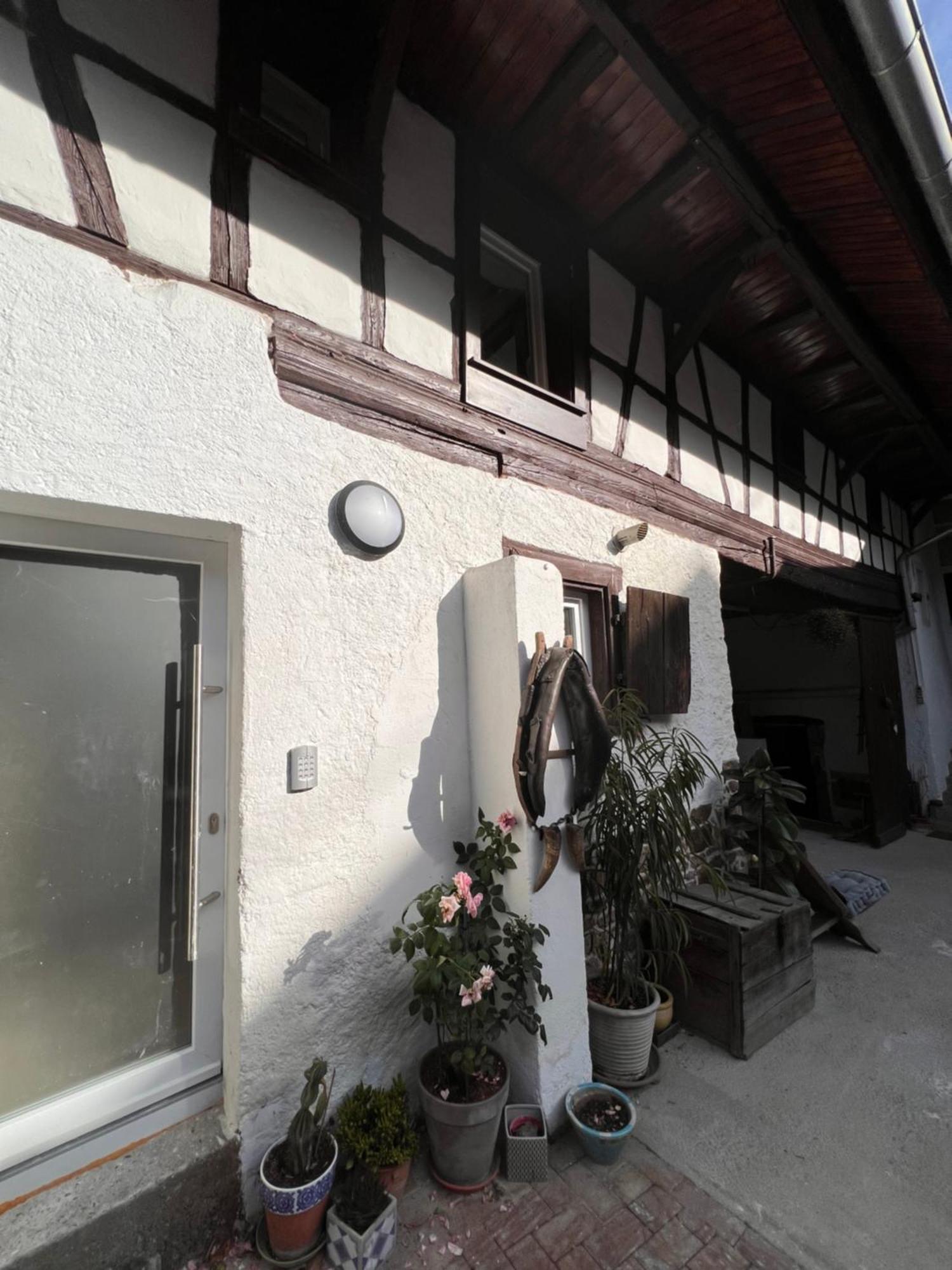 Studio Tout Confort 2 Personnes Au Coeur De L'Alsace Wolxheim Eksteriør bilde